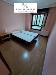 Location Appartement  Calle andres de la orden. Alquiler piso semiamueblado zona centro