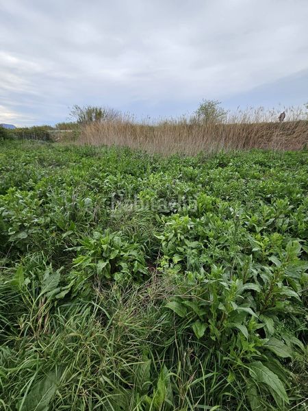 Foto 4d31831d-3623-4818-a125-033637ca50f1. Finca rústica a Beniel