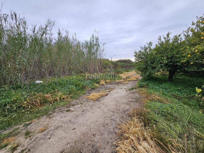 Foto 6c450f39-9704-49ac-8d16-fb830be726c5. Finca rústica a Beniel