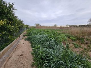 Finca rústica a Beniel. Terreno no urbanizable en beniel
