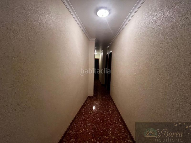 Foto 0043dd5c-1056-44eb-9b87-6d95dbb17ad0. Pis a Rute