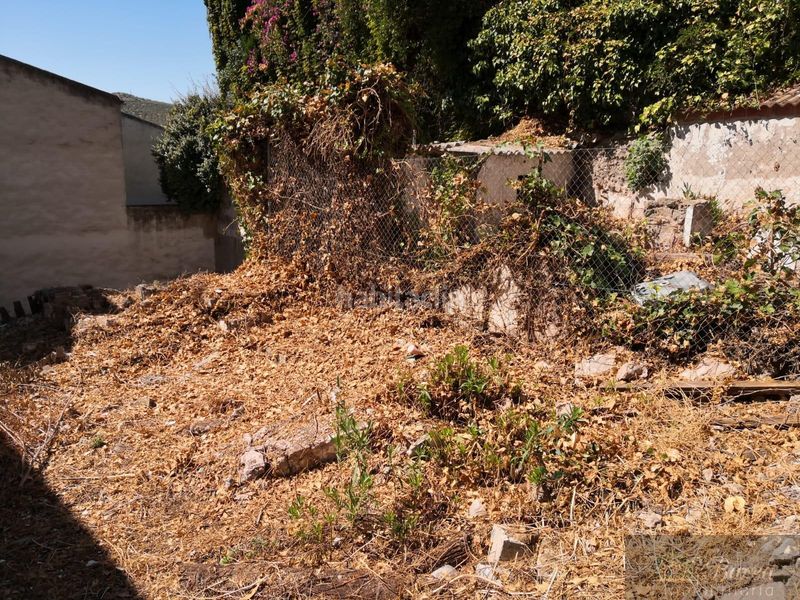 Foto f9b3b596-ca03-4224-bb3d-bef30d3a2810. Terreny residencial a Rute