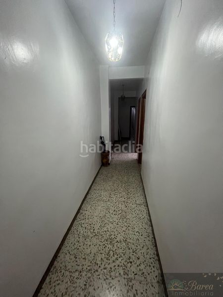 Foto b7a076f0-a117-48d8-8c55-29ff64cd3a11. Pis a Rute