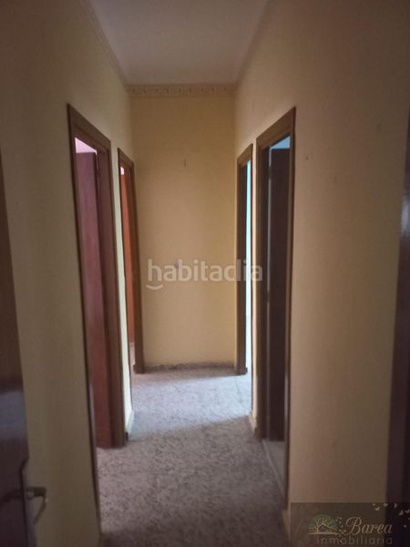 Foto 9184bfe8-567a-41e5-bb65-1b12e613564e. Pis a Rute