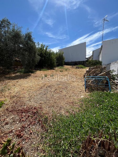 Foto 2840c655-f0c4-4ee8-bd13-bccfa2140919. Casa  en Rute