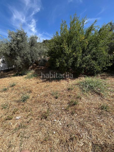 Foto 37744e5a-97d4-49d3-a027-fb2d80fd964b. Casa  en Rute