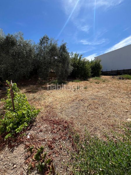 Foto af70169a-fb09-409b-8db9-5f5ef2a3baa6. Casa  en Rute