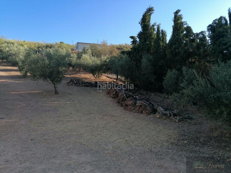Foto 159402d9-e49b-434e-96da-9865e58ce05c. Xalet amb aparcament a Rute