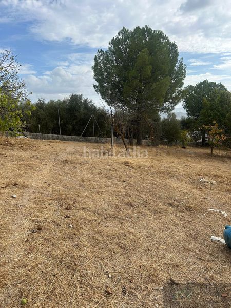 Foto 14a92b6d-e087-45b3-bfd7-696afb8f1a4a. Chalet  en Rute