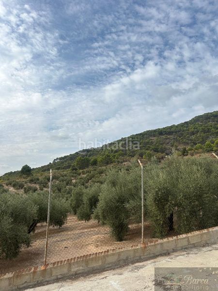 Foto 67b844ff-79d4-4284-8456-edf120deae54. Chalet  en Rute