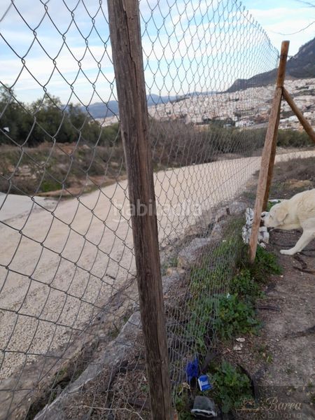 Foto 6e33d754-1742-4c7b-bfd7-a753335ff346. Masia a Rute