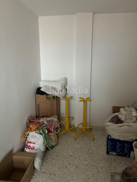 Foto 8408fec1-2778-4e81-858f-7e45fa75a036. Pis a Rute