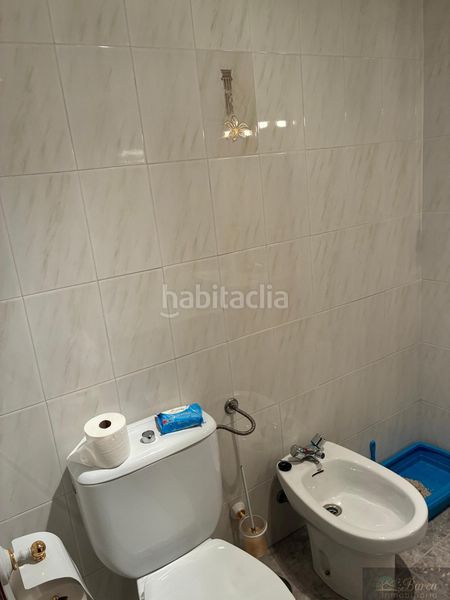 Foto a1e2bd00-57f5-4c69-a7ec-9c526ddcaae2. Pis a Rute