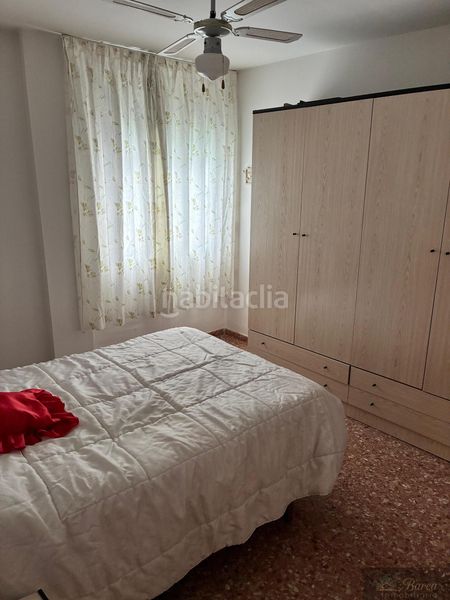 Foto a500a6a8-cfd3-4cd3-8b64-a633381d8088. Pis a Rute