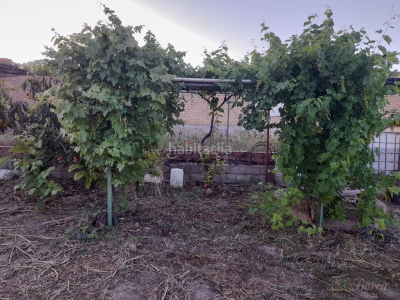 Foto 64959749-aa50-4206-9620-f3e9f8970679. Masia a Rute