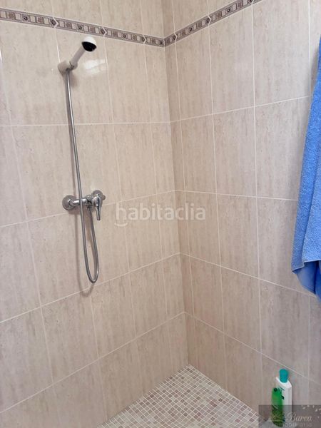 Foto fb85a502-1db7-4f97-bafc-636c5b4a69ed. Pis a Rute