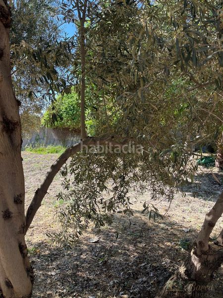 Foto baddabfa-6ccc-470f-b436-36078ecd3693. Masia a Rute