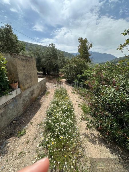 Foto 54368f28-83c1-4d3a-b473-589b3863149e. Casa  en Rute