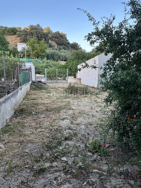 Foto f76b2621-70ea-46e2-ae3a-a98c8f0b1490. Casa  en Rute
