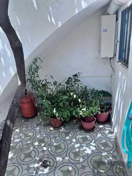 Foto ffcd6039-f128-45b0-941c-1d821be7e4ec. Casa amb aparcament a Rute