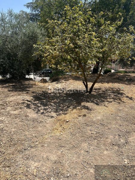 Foto 9ab63c41-2335-4801-93b5-4cd10f243bbd. Casa in Rute