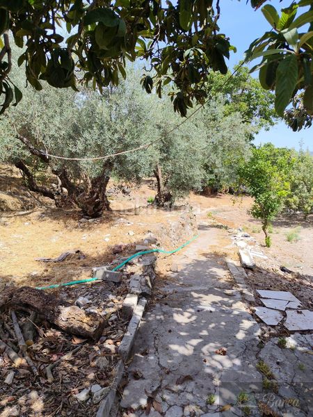 Foto f1120d13-b6f8-4cac-bf22-76dd30bded59. Casa in Rute