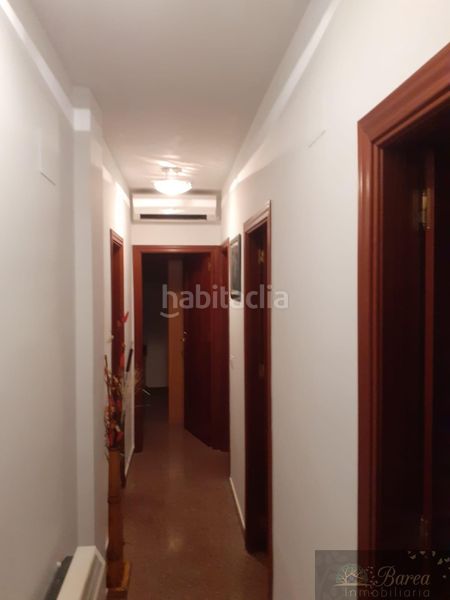 Foto f9bdf29b-1254-46ee-9086-348f7e586e74. Pis a joaquin blume 1 a Rute