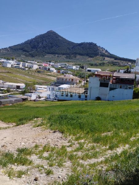 Foto a9f97a40-35c5-4947-9c38-d05f05b1fae5. Terreny residencial a Rute