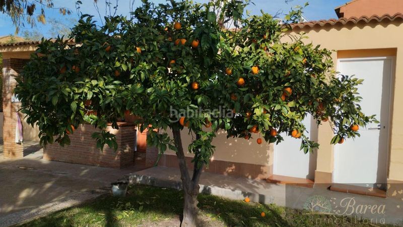 Foto bcc6f0bc-221f-4935-b5de-00a9b13ad7e6. Xalet amb piscina a Poleares Lucena
