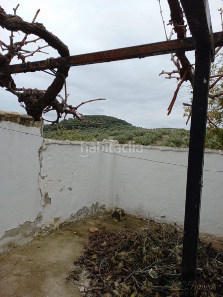 Foto 1f652fea-792d-43e5-8032-64225ae521e8. Casa a Rute