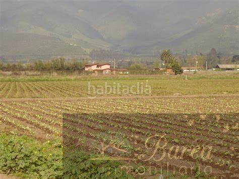 Foto 63bd97c0-f870-4fc8-bead-a0b904f933bf. Terreny residencial a Rute