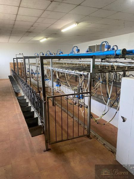 Foto 290d39b9-c505-4007-977b-0ff9c2c8bed9. Nau industrial a Rute