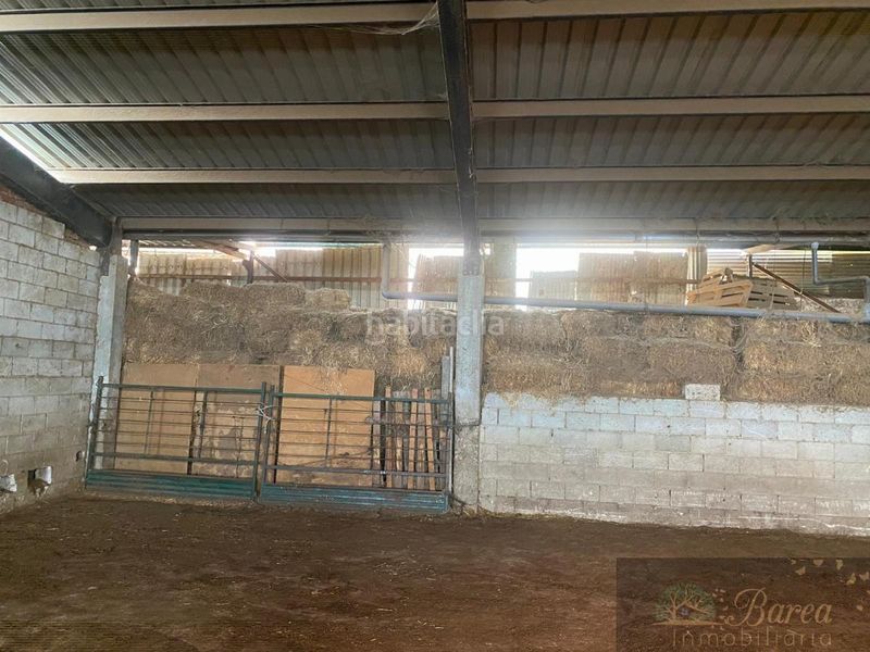 Foto c1d1cde1-9d07-450c-84cb-5ad8cb14795f. Nau industrial a Rute
