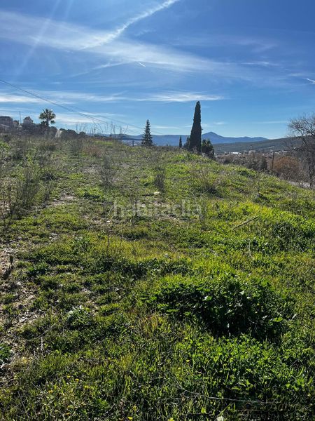 Foto 38c8b403-e9e6-462f-be64-a2c0da5724f2. Terreny residencial a Rute