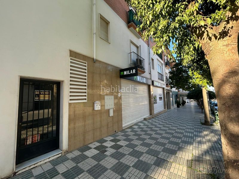 Foto 1ed5a113-6a12-4f13-8bb4-91c1c5e23631. Locale commerciale in avd. blas infante 52 in Rute