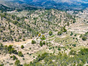Foto 4f04f0d5-eab9-43cc-b463-dbaa81c0891f. Masia amb aparcament a Xixona