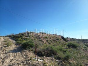 Foto da3a2df9-bdb7-46b7-afd7-a21c2a8673ca. Masia a La Alcoraya Alicante