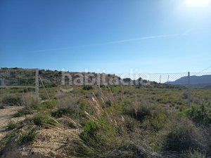 Foto ea767dd6-60a2-4865-bf74-d430af8edb2d. Masia a La Alcoraya Alicante