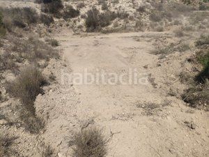 Foto 658695de-a11c-46ff-9624-aaf405882cb3. Finca rústica a Agost