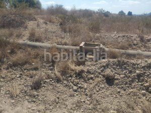 Foto 848f28cb-61fd-4f2c-8cbe-c5d7c8a3d68c. Finca rústica a Agost