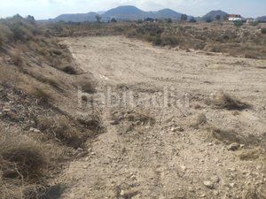 Foto ec254fe4-bd4a-4532-bfa8-ad88486e7b56. Finca rústica a Agost