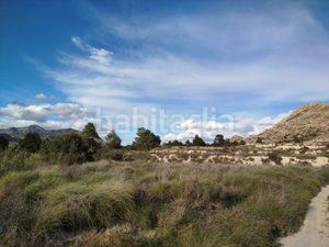 Foto ce1ef44f-a865-4a6d-9382-50cbb41a8305. Masia amb xemeneia piscina a Moralet Alicante