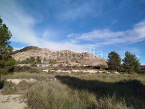Foto d5213393-63ab-486c-91a6-ea7fbe763208. Masia amb xemeneia piscina a Moralet Alicante