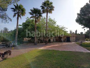 Foto e7600274-0da2-48b6-bbcf-6de12ad6405d. Casale con camino parcheggio piscina in Centro Mutxamel