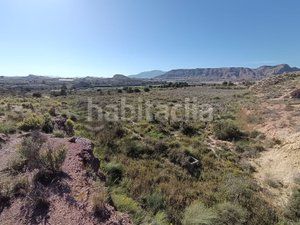 Foto 38a5a127-f3f8-450a-bfcd-d96096148aa5. Finca rústica a Moralet Alicante