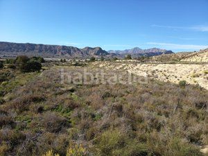 Foto 3f9c7b85-d1b3-464f-8225-63b55d916669. Finca rústica a Moralet Alicante