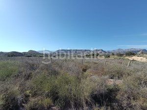 Foto 7a84fe55-bbe8-4c08-9f18-67ef2df9ec3d. Finca rústica a Moralet Alicante