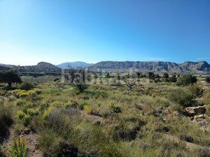 Foto eadd4557-b886-438b-9dc6-3b0860cadb3a. Finca rústica a Moralet Alicante