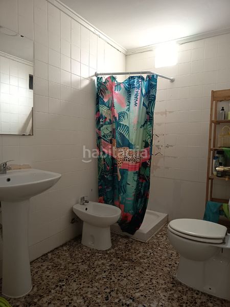 Foto 31a265a3-5e3d-47af-87da-b64282f8e04b. Pis a El Toscar Elche / Elx