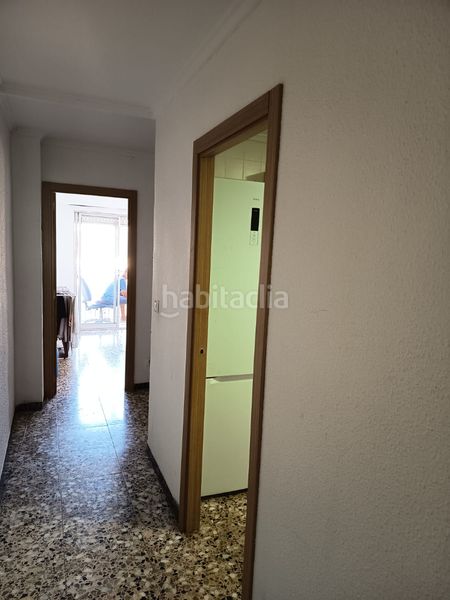 Foto c164e8eb-39fa-4e60-8c86-d038f65bedf3. Pis a El Toscar Elche / Elx